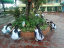 ANH 1 - 