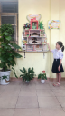 ANH 5 - 