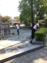 ANH 6 - 