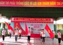 ANH 6 - 
