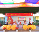 ANH 12 - 