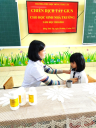 ANH 1 - 