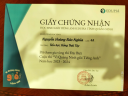 ANH 2 - 