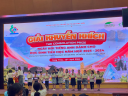 ANH 6 - 