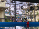 ẢNH 23 - 