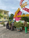 ẢNH 3 - 