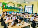 ẢNH 1 - 