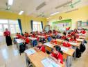 ẢNH 3 - 