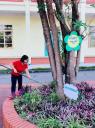 ẢNH 13 - 