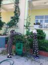ẢNH 8 - 
