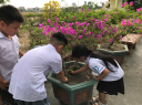 ẢNH 5 - 