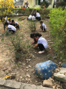 ẢNH 7 - 
