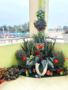 ẢNH 18 - 