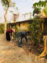 ẢNH 2 - 