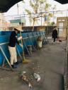 ẢNH 3 - 