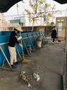 ẢNH 1 - 