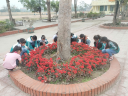 ẢNH 3 - 