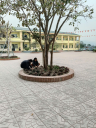 ẢNH 4 - 