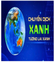 ẢNH 1 - 